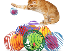 TikoiGou 6 只猫弹簧球 多彩互动猫玩具 伸缩猫弹簧玩具 内置绒毛老鼠 宠物用品 室内娱乐六只装 