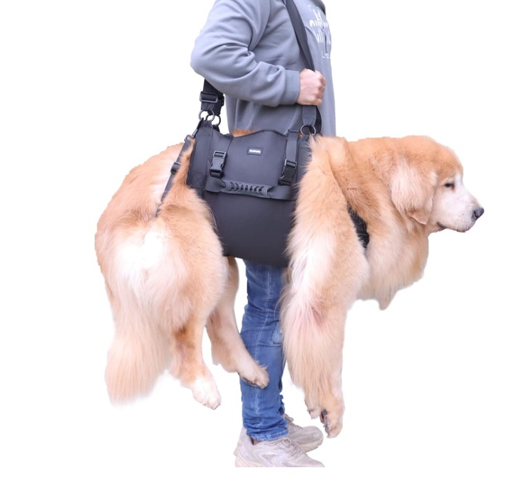 狗狗搬运抱袋，紧急背包式宠物腿部支撑与康复犬搬运背带，适用于修剪爪子、老年狗疾病、关节问题、上下楼梯（黑色，XL）
