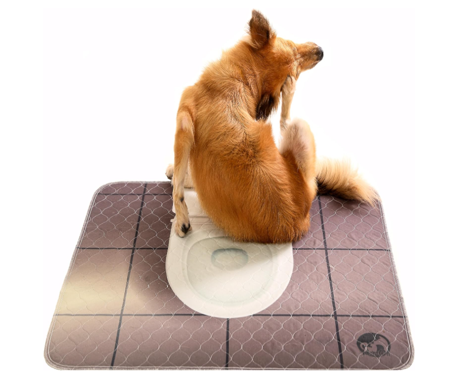 高品质可洗涤狗用尿垫 - 2包装 - [36"x32"] - 可重复使用，超吸水，防水宠物训练垫 - 小型和中型犬用的狗仔培训尿垫 - 供宠物使用的精品