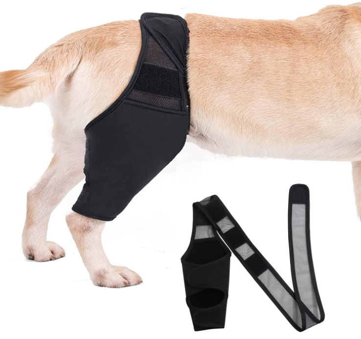 WUKUAJING 狗狗膝盖支撑护膝，适用于十字韧带受伤，帮助更好康复，可调节后腿支撑护腿，用于狗狗髌骨脱位或骨关节炎（轻便型-M）